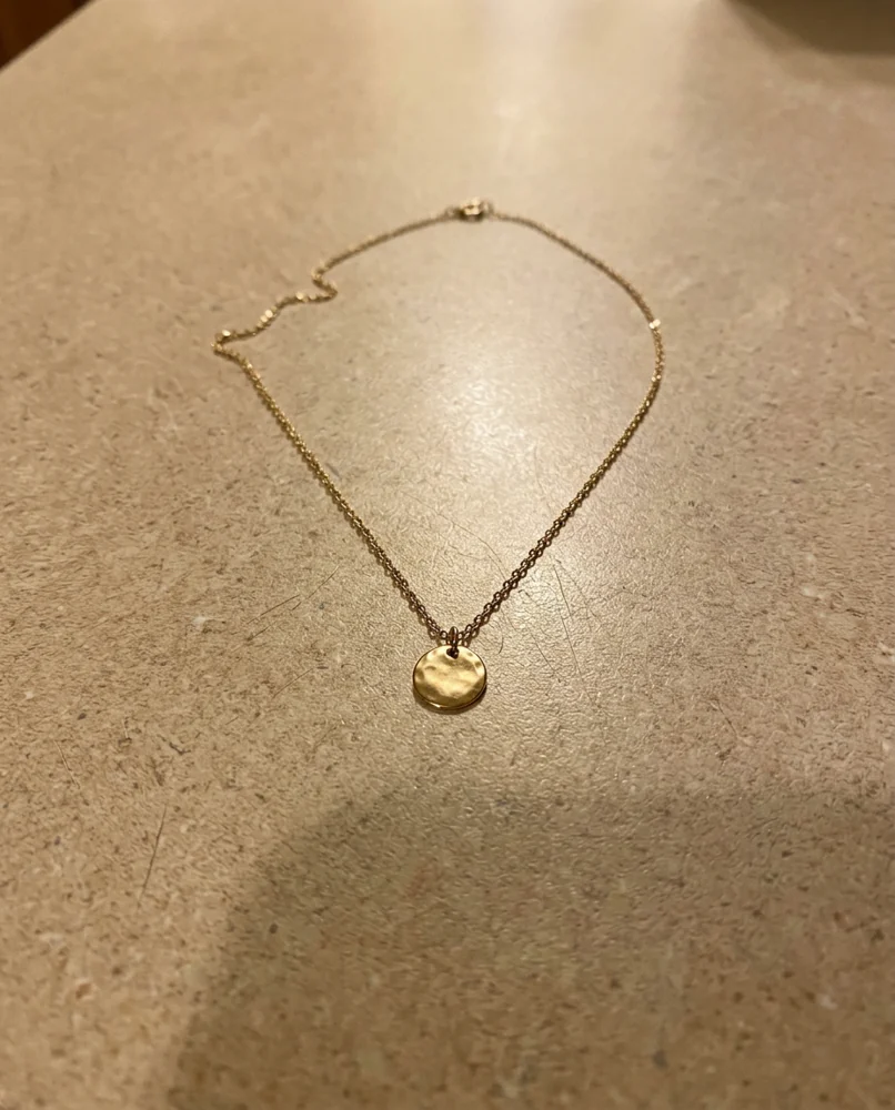 Gold pendant necklace: the starting photo